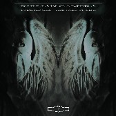 2015 Cover