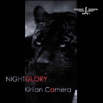 Nightglory
