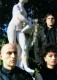Angelo Bergamini, Bianca Hoffman-Santos, Mauro Montacchini